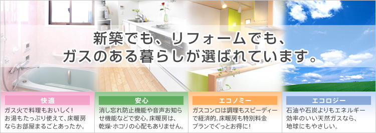 �V�z�ł��A���t�H�[���ł��A�K�X�̂����炵���I�΂�Ă��܂��B