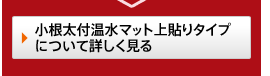 �������t�����}�b�g��\��^�C�v�ɂ��ďڂ�������