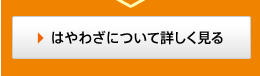 �͂�킴�ɂ��ďڂ�������