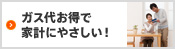 �K�X�エ���ŉƌv�ɂ₳�����I