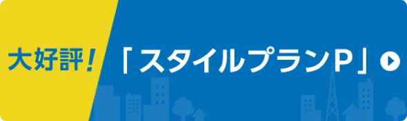 大好評！「スタイルプランP」
