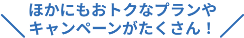 ほかにもおトクなプランやキャンペーンがたくさん！