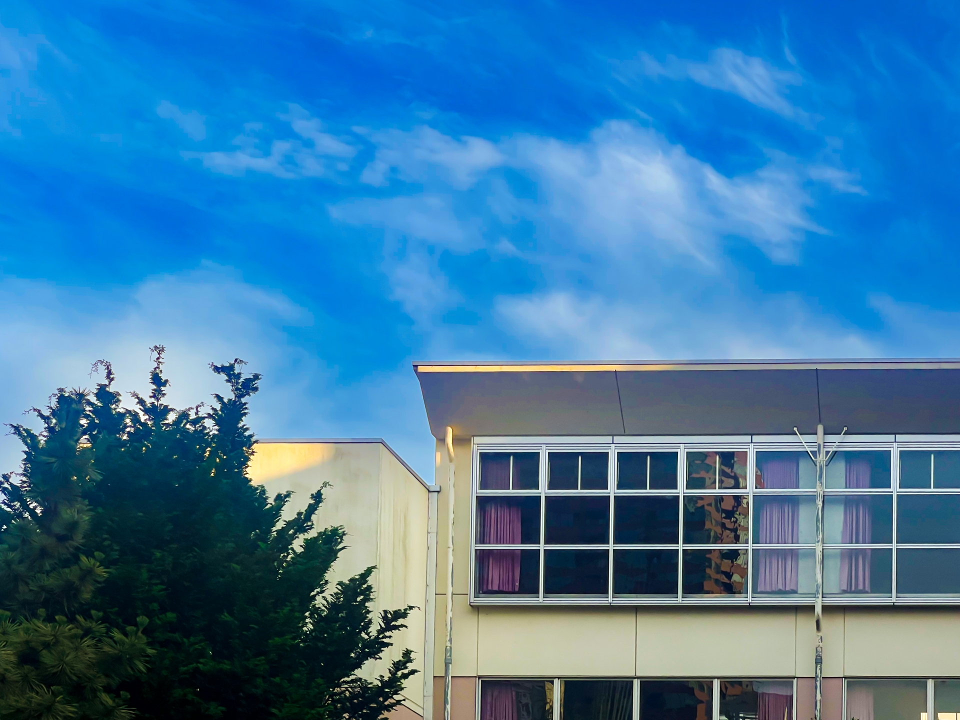 青空の下、校舎の窓と木々が写っている写真