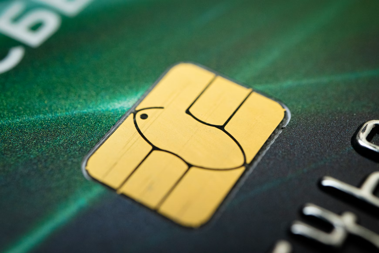 au PAY カードはお得？おすすめの理由と主なメリットを紹介
