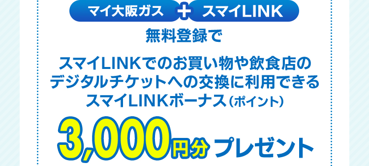 }CKX{X}CLINK o^ X}CLINKł̂HX̃fW^`Pbgւ̌ɗpłX}CLINK{[iX(|Cg) 3,000~v[g