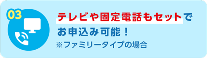03 テレビや固定電話もセットでお申込み可能！※ファミリータイプの場合