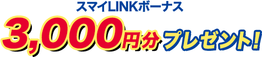 X}CLINK{[iX 3,000~v[gI
