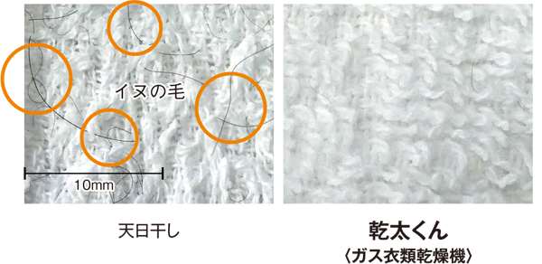 タオル乾燥後の毛付着状況の比較