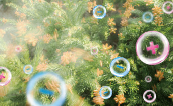 浮遊花粉アレル物質の作用を抑える