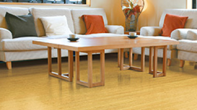 ガス温水床暖房