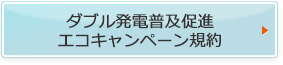 ダブル発電普及促進エコキャンペーン規約