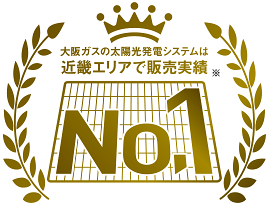 メリット1：なんと販売実績No.1！