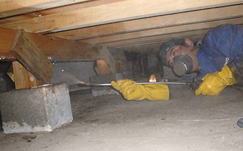 5年保証で施工後もしっかりサポート