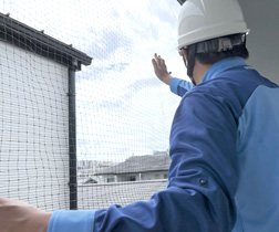 ハト飛来防止サービス