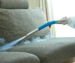 トコジラミ駆除サービス