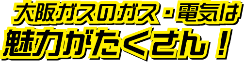 大阪ガスのガス・電気は魅力がたくさん！