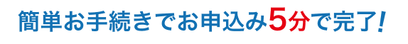 簡単お手続きでお申込み5分で完了！