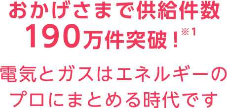 おかげさまで供給件数190万件突破！※1電気とガスはエネルギーのプロにまとめる時代です
