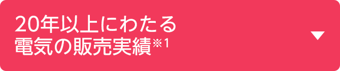 20年以上にわたる電気の販売実績※1