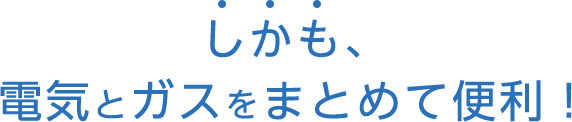 しかも、電気とガスをまとめて便利！