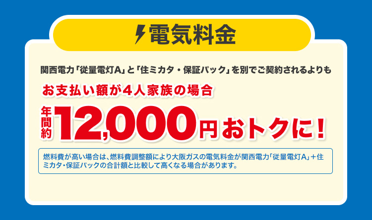 電気料金 関西電力「従量電灯A」と「住ミカタ・保証パック」を別でご契約されるよりもお支払い額が4人家族の場合 年間約12,000円おトクに！燃料費が高い場合は、燃料費調整額により大阪ガスの電気料金が関西電力「従量電灯A」＋住ミカタ・保証パックの合計額と比較して高くなる場合があります。