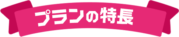プランの特長