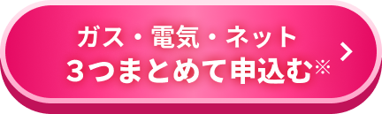 ガス・電気・ネット 3つまとめて申込む※