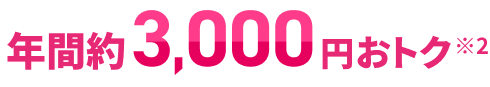 年間約3,000円おトク※2