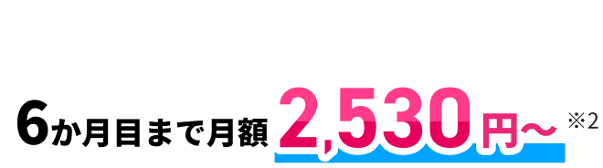 Nプラン 1G 6か月目まで月額2,530円〜※2