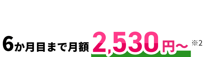 Jプラン 1G 6か月目まで月額2,530円〜※2