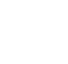 VOICE2