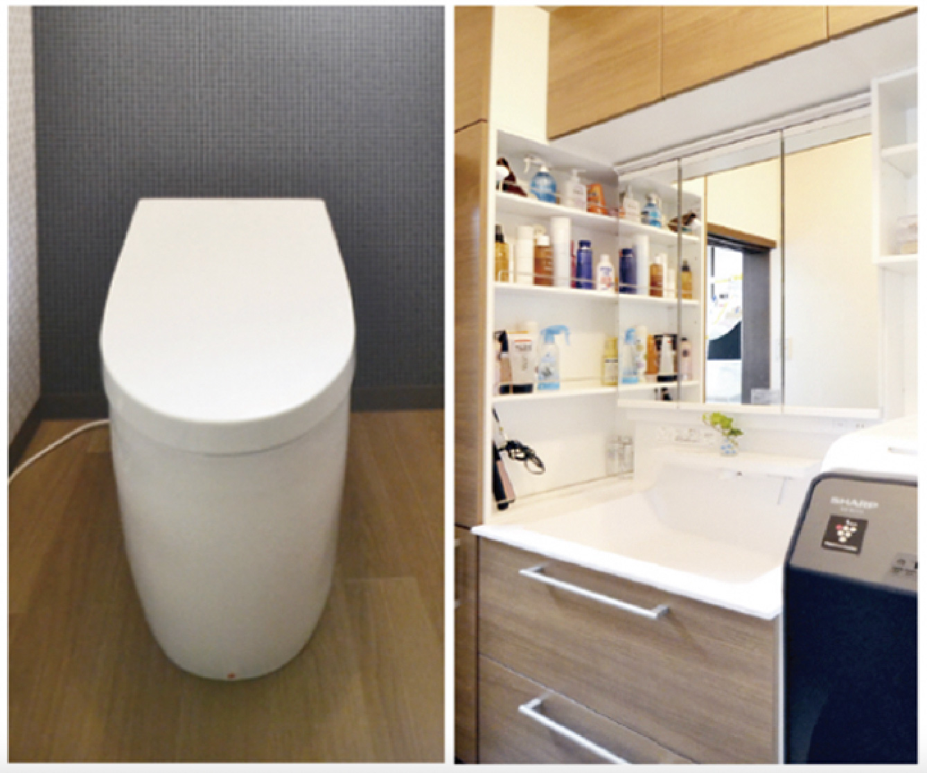 タンクレストイレと洗面所