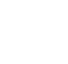 VOICE1