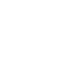 VOICE3