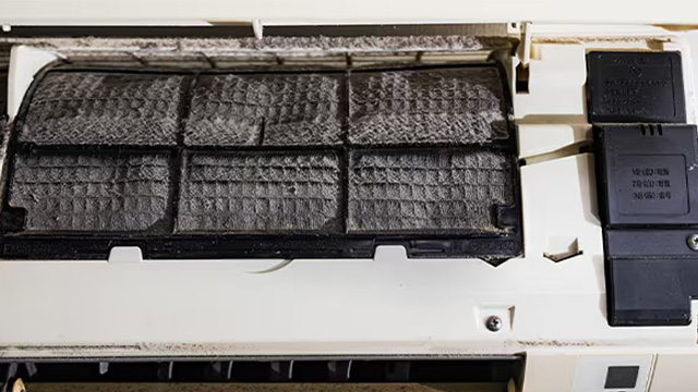 ���炵���x���邨�𗧂��������͂��I