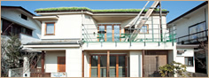 音楽とアートが似合う、人と環境にやさしい屋根緑化の家。